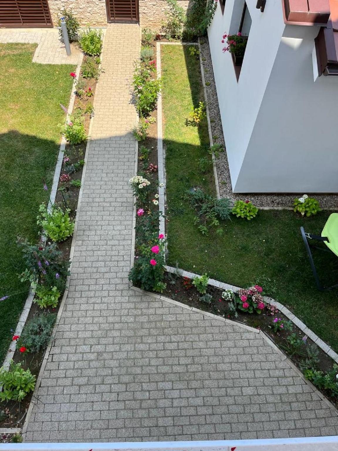 Bed and Breakfast Trend Арад Екстер'єр фото